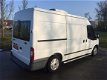 Ford Transit - 280M 2.2 TDCI Hondenvervoer - 1 - Thumbnail