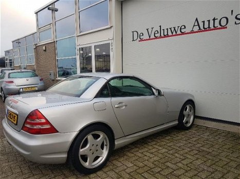 Mercedes-Benz SLK-klasse - 320 AMG pakket / youngtimer / autom - 1