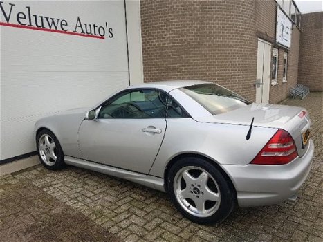 Mercedes-Benz SLK-klasse - 320 AMG pakket / youngtimer / autom - 1