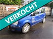 Fiat Panda - 1.2 Edizione Cool - 1 - Thumbnail