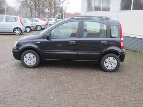 Fiat Panda - 1.2 Dynamic - 1