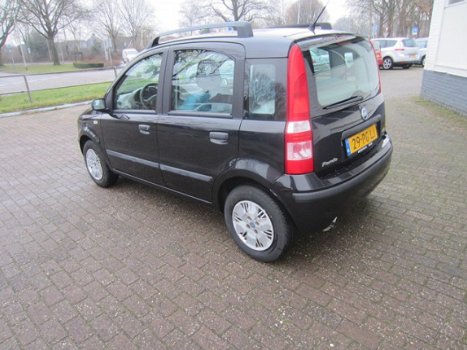 Fiat Panda - 1.2 Dynamic - 1