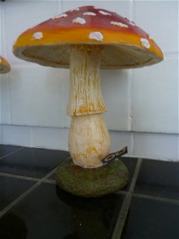 Grote paddenstoel - 2