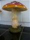 Grote paddenstoel - 2 - Thumbnail