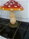 Grote paddenstoel - 3 - Thumbnail