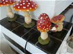 Grote paddenstoel - 4 - Thumbnail