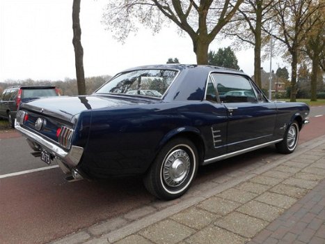 Ford Mustang - 289 V8 nederlands kenteken APK 12-2021 - 1