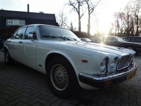 Jaguar XJ - 5.3 V12 Souvereign - 1