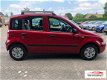 Fiat Panda - 1.2 Edizione Cool - 1 - Thumbnail