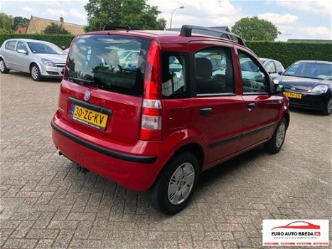 Fiat Panda - 1.2 Edizione Cool - 1