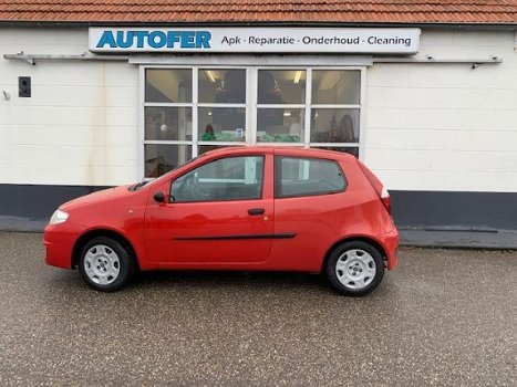 Fiat Punto - 1.2 Active knap kerstschatje nieuwe APK dealer onderhouden - 1