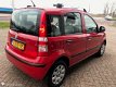 Fiat Panda - 1.2 Edizione Cool 