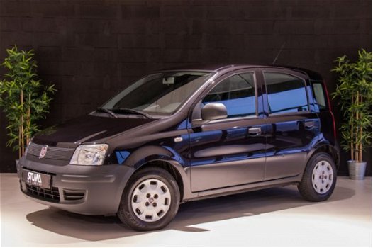 Fiat Panda - 1.2 Actual | 2011 | 5 deurs | NAP | Garantie - 1