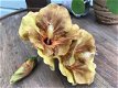 Rode Beagle kunstbloemen webshop, partij kunstbloemen hibiscus, mosterdkleur, grote bloem - 4 - Thumbnail
