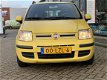 Fiat Panda - Panda 1.2 Edizione Cool | - 1 - Thumbnail