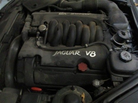 Jaguar XK8 - Cabriolet - 1