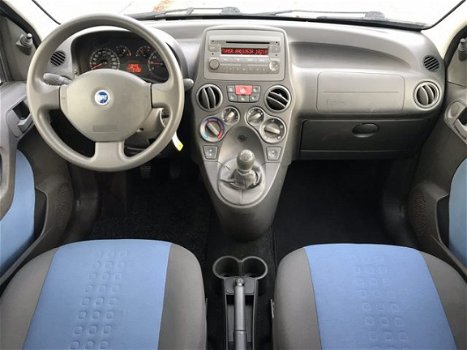 Fiat Panda - 1.2 Edizione Cool - 1