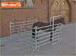 Fences voor round pen, paddocks, paardenboxen, stapmolens - 1 - Thumbnail