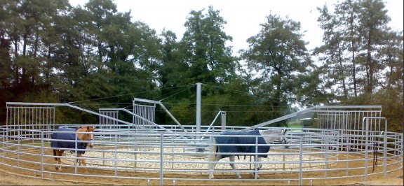 Fences voor round pen, paddocks, paardenboxen, stapmolens - 5