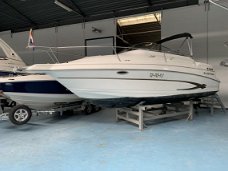 Glastron 249 met Mercruiser 5 liter MPI V8