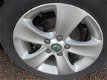 Skoda Superb Combi - 1.6 TDI Greenline Ambition Business Line Superb 1.6 tdi voll opties vol leer xe - 1 - Thumbnail