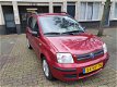 Fiat Panda - 1.2 Emotion - 1 - Thumbnail