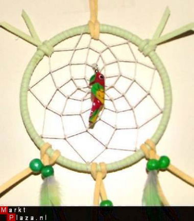 PAPEGAAI Dromenvanger / Dreamcatcher Groen: Ring=10cm - Afbeelding 2