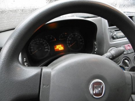 Fiat Panda - 1.2 Edizione Cool - 1