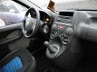 Fiat Panda - 1.2 Edizione Cool - 1 - Thumbnail