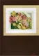 AANBIEDING LANARTE BORDUURPAKKET, GERANIUMS 073 - 1 - Thumbnail