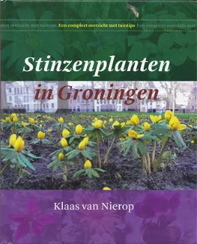Stinzenplanten in Groningen - 1