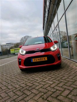 Kia Picanto - 1.0 CVVT DynamicPlusLine - 1