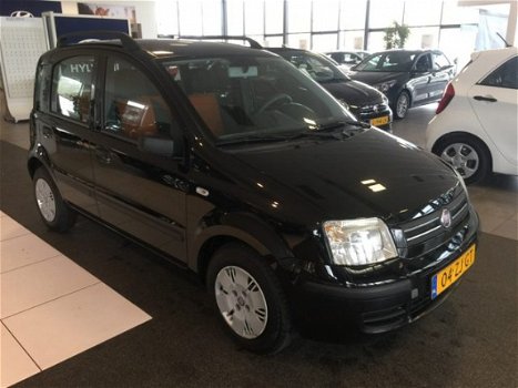 Fiat Panda - 1.2 Dynamic - 1