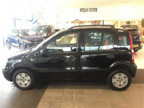 Fiat Panda - 1.2 Dynamic - 1