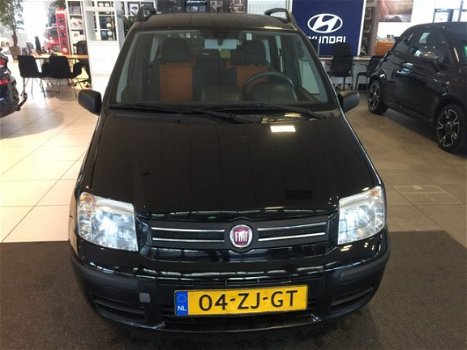 Fiat Panda - 1.2 Dynamic - 1