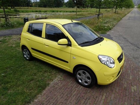 Kia Picanto - 1.0 X-pect - 1