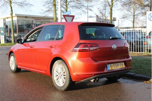 Volkswagen Golf - 1.4 TSI CUP Edition - 1