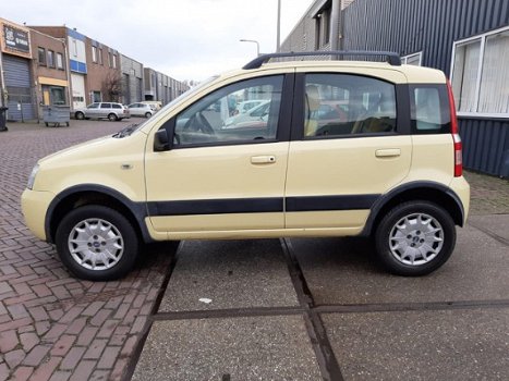 Fiat Panda - 1.2 Climbing 4x4 - 1