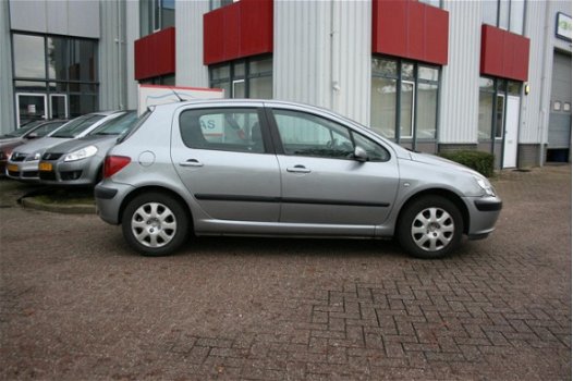 Peugeot 307 - 1.6-16V XS - 1