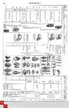 tekeningen Historische Geologie - 1