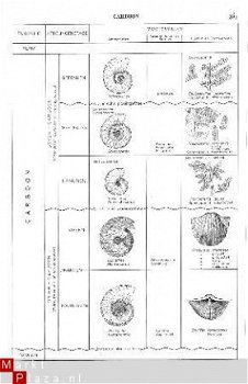 tekeningen Historische Geologie - 1