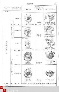 tekeningen Historische Geologie