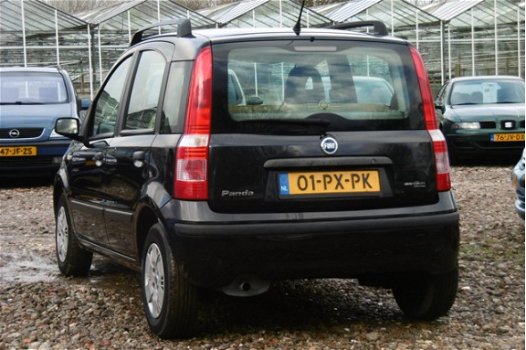 Fiat Panda - 1.2 Dynamic BJ2005 NAP/STUURBEKR/ELEKRAM/1JR APK - 1