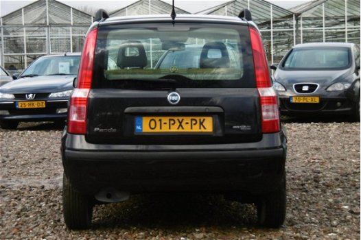 Fiat Panda - 1.2 Dynamic BJ2005 NAP/STUURBEKR/ELEKRAM/1JR APK - 1