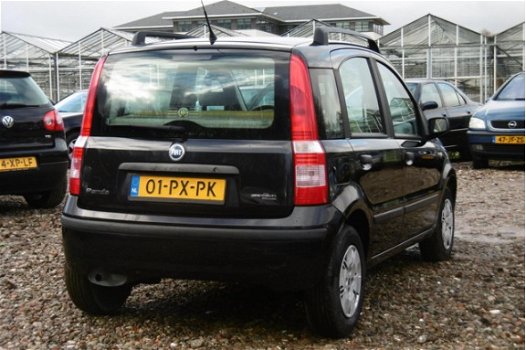 Fiat Panda - 1.2 Dynamic BJ2005 NAP/STUURBEKR/ELEKRAM/1JR APK - 1