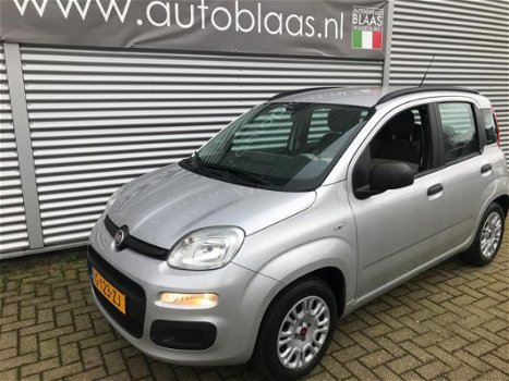 Fiat Panda - 1.2 Edizione Cool - 1