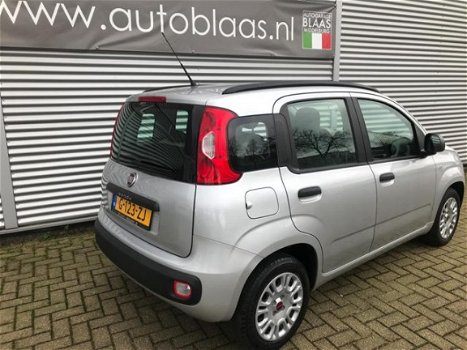 Fiat Panda - 1.2 Edizione Cool - 1