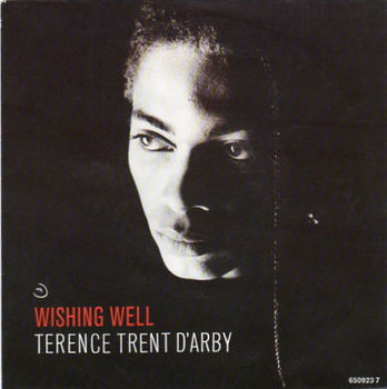 Terence Trent d'Arby : Wishing well (1987) - 0