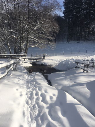 24 pers Vakantiewoning huren Ardennen in 2020 - Afbeelding 8