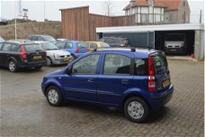 Fiat Panda - 1.2 Edizione Cool